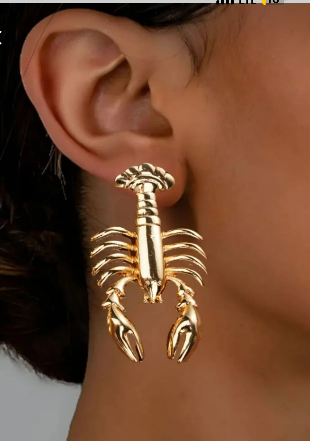 MY4EAR19 wholesale jewelry ZARA & MANGO EARRINGS Catwalk Jewellery Europe